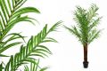 Műnövény - Kókuszpálma 140 cm