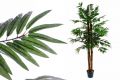 Műnövény - Kókuszpálma 150 cm