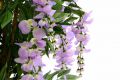 Művirág - Wisteria 140 cm