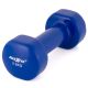 Egykezes súlyzó szett vinyl Maxxiva®  2 x 2,5 kg Kék