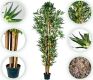 PLANTASIA Műnövény bambusz 220 cm