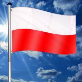 FLAGMASTER® Zászló rúddal Lengyel PLN 650 cm