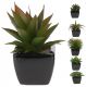 Műnövény fekete kerámia virágcserépben - 6 típus