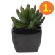 Műnövény fekete kerámia virágcserépben - 6 típus