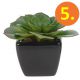 Műnövény fekete kerámia virágcserépben - 6 típus