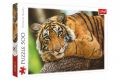 Puzzle Portré tigris 500 db  48 x 34 cm