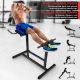 PHYSIONICS Hyperextension háttréner 115 x 67 x 92 cm