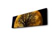 Dekoratív világító festmény MOON 30 x 90 cm